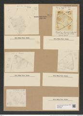 Triceratium oamaruense Grove et Sturt. (de-Toni-Nr.: Genus 140, Species 3757) Zeichnungen Sammlung Grunow Nr. 7271 (NHMW-BOT-W0376284)